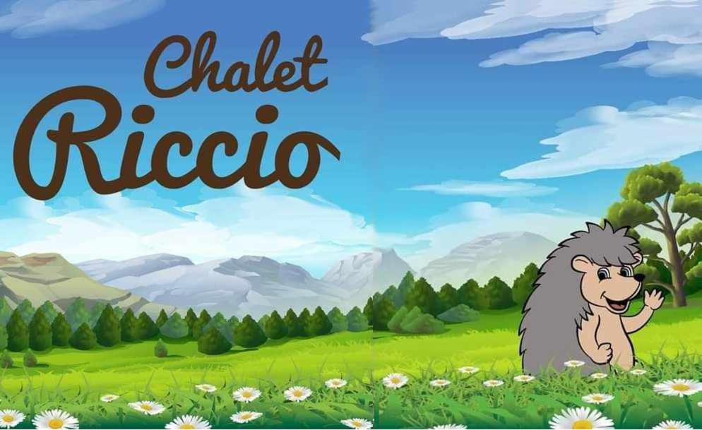 Chalet Riccio la scelta giusta per le vostre vacanze in montagna Livigno Camera foto